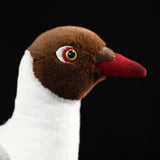 Lifelike Brown-headed Gull Stuffed Bird, 9.5" Realistic Seagull Plush Doll with Crimson Beak & Webbed Feet
