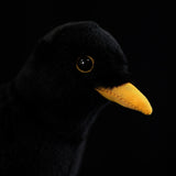 Close-up of a black plush toy with a yellow beak on a black background