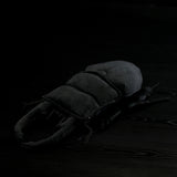 Realistic Giant Stag Beetle Stuffed Animal Plush Toy, Giant Stag Beetle Plushies