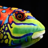 16.5-Inch Mandarin Dragonet Plushie – Vibrant Ocean Life Stuffed Toy