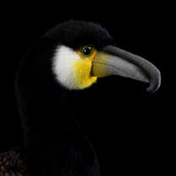 Realistic Cormorant Plush Stuffed Animal – Lifelike Seabird Soft Toy for Bird Lovers, Collectors & Nature Decor
