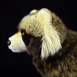 Realistic Common Raccoon Dog Stuffed Animal Plush Toy, Common Raccoon Dog Plushies