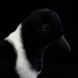Lifelike Pied Crow Plush Toy – Realistic White-Necked Raven Stuffed Animal