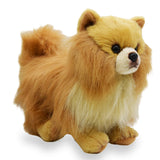 Realistic Pomeranian Dog Stuffed Animal Plush Toy