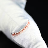 21.5" Realistic Longnose Chimaera Plush Toy – Lifelike Deep Sea Ghost Shark Stuffed Animal