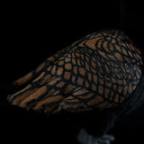 Realistic Cormorant Plush Stuffed Animal – Lifelike Seabird Soft Toy for Bird Lovers, Collectors & Nature Decor