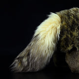 Realistic Common Raccoon Dog Stuffed Animal Plush Toy, Common Raccoon Dog Plushies