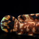 Japanese Warbonnet Fish Plush Toy 20.5" (52cm) - Realistic Fringed Blenny Ocean Animal Stuffed Plushie