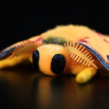 Realistic Comet Moth Plush Toy – 7.8” Madagascan Moon Moth Stuffed Animal