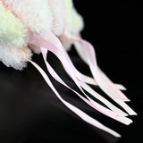 Realistic Acromitus Flagellatus Stuffed Animal Plush Toy, Jellyfish Plushies