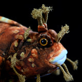 Japanese Warbonnet Fish Plush Toy 20.5" (52cm) - Realistic Fringed Blenny Ocean Animal Stuffed Plushie
