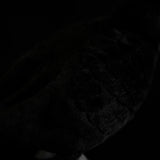 Realistic Chinese Blackbird Stuffed Animal Plush Toy, Bird Plushies