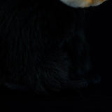 Realistic White-faced Saki Stuffed Animal Plush Toy, White-faced Saki Plushies