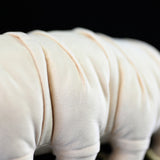 Realistic Water Bear Stuffed Animal Plush Toy, Tardigrades Plushies