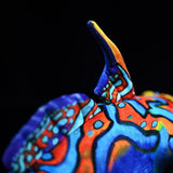 16.5-Inch Mandarin Dragonet Plushie – Vibrant Ocean Life Stuffed Toy