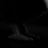 Lifelike Pied Crow Plush Toy – Realistic White-Necked Raven Stuffed Animal