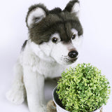 Wolf Stuffed Animal Plush Toy, Lifelike Animal Plushies