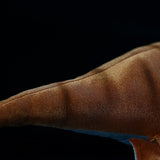 Realistic Kronosaurus Stuffed Animal Plush Toy, Kronosaurus Plushies