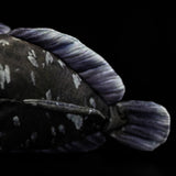 Realistic Coelacanth Stuffed Animal Plush Toy, Fish Plushies