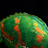 Realistic Veiled Chameleon Stuffed Animal Plush Toy, Veiled Chameleon Plushies
