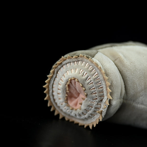 Realistic Sea Lamprey Stuffed Animal Plush Toy, Fish Plushies – KEAIART