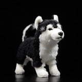 Realistic Bi-eyed Husky Dog Stuffed Animal Plush Toy, Lifelike Plushies