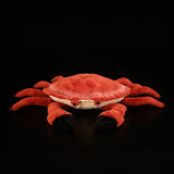 Realistic Bread Crab Stuffed Animal Plush Toy, Crab Plushies