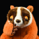 Realistic Red Slender Loris Stuffed Animal Plush Toy, Lifelike Plushies
