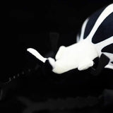 Realistic Goliath Flower Beetles Stuffed Animal Plush Toy