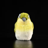 Realistic Swinhoe's white-eye Bird Stuffed Animal Plush Toy