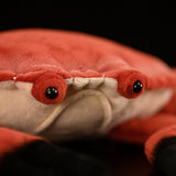 Realistic Bread Crab Stuffed Animal Plush Toy, Crab Plushies