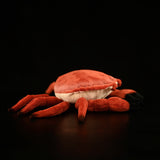 Realistic Bread Crab Stuffed Animal Plush Toy, Crab Plushies