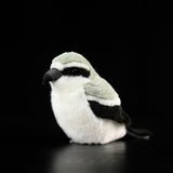 Realistic Shrike Bird Stuffed Animal Plush Toy, Bird Plushies