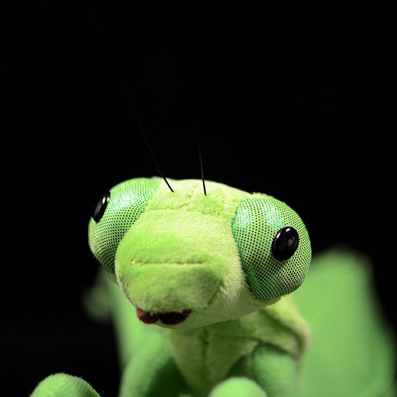 Realistic Mantis Stuffed Animal Plush Toy