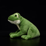 Realistic Frog Stuffed Animal Plush Toy