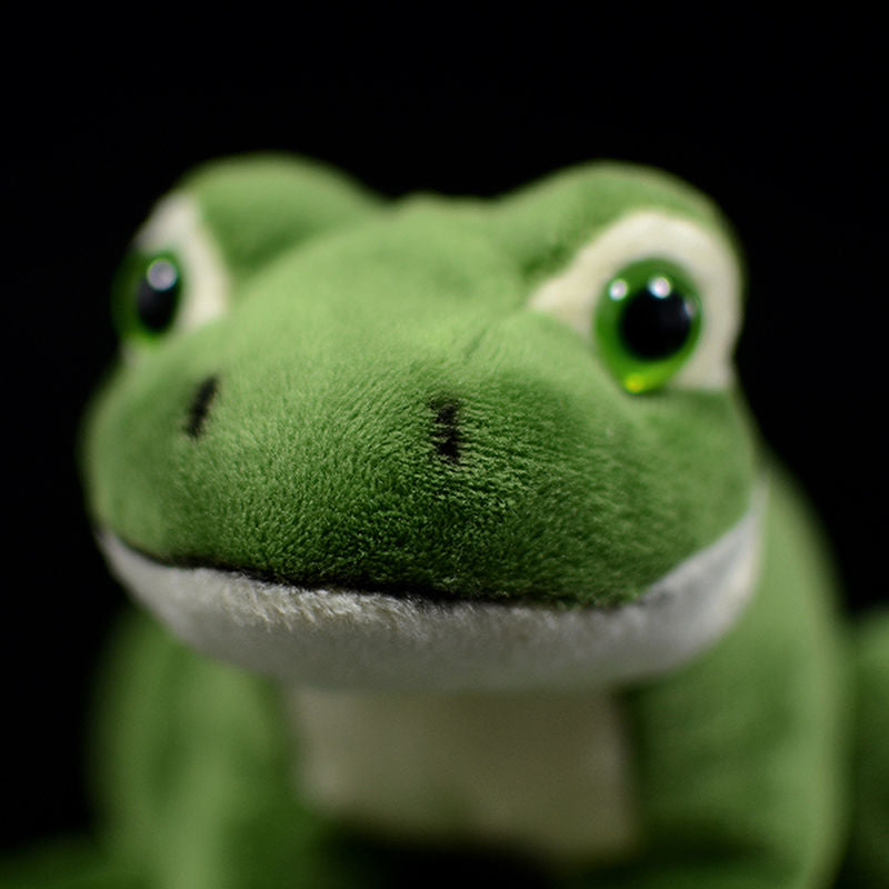 Realistic Frog Stuffed Animal Plush Toy – KEAIART