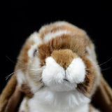 Realistic Lop rabbit Stuffed Animal Plush Toy