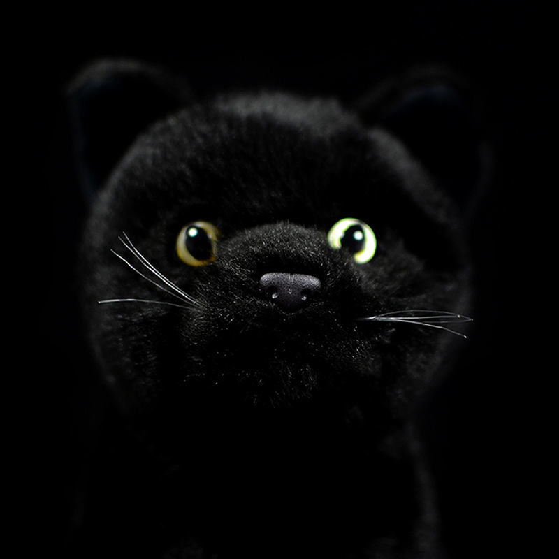 Realistic Black Cat Stuffed Animal Plush Toy