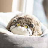 Chubby Pallas's Cat Stuffed Animal Plush Toy, Manul Plushies