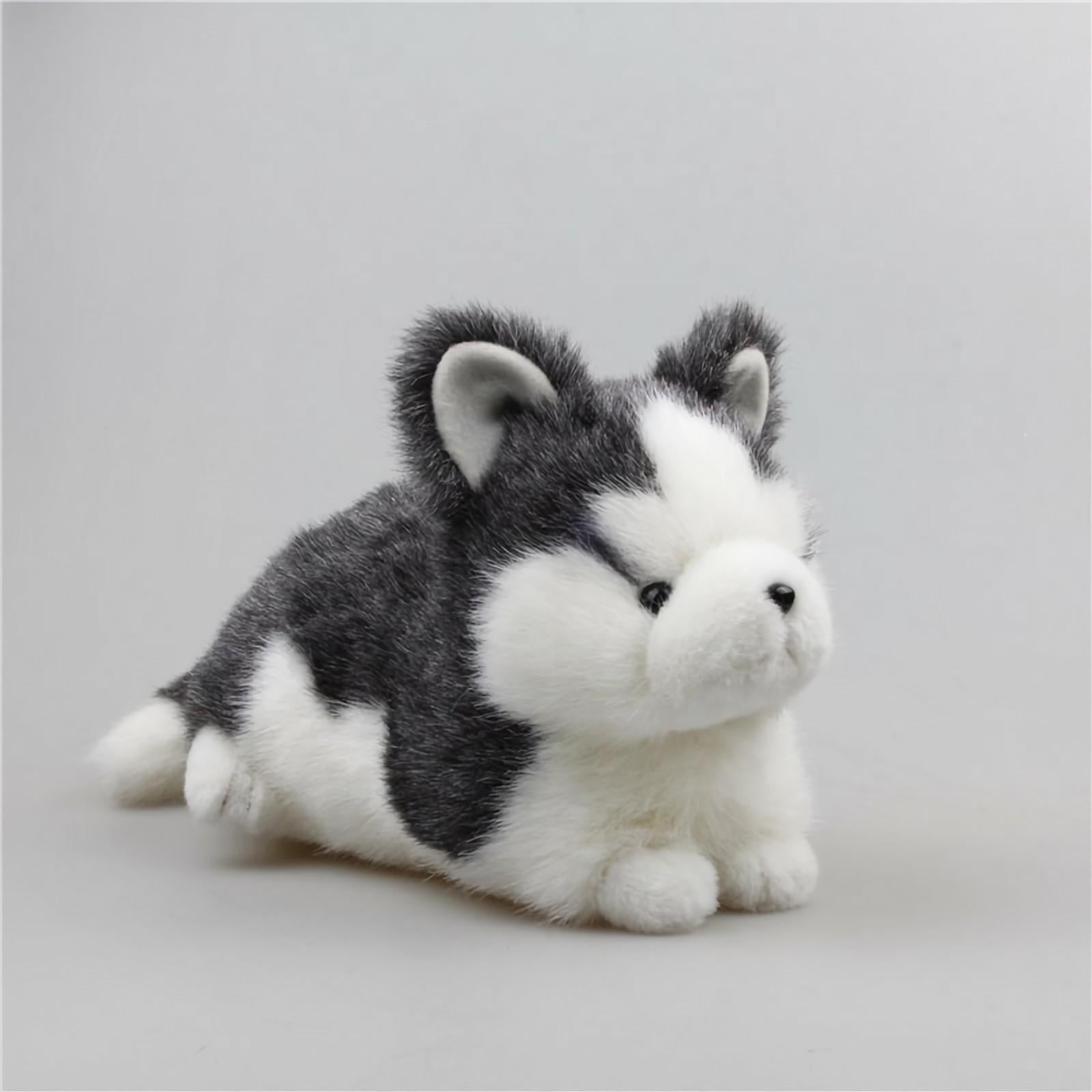 Cute Husky Dog Stuffed Animal Plush Toys
