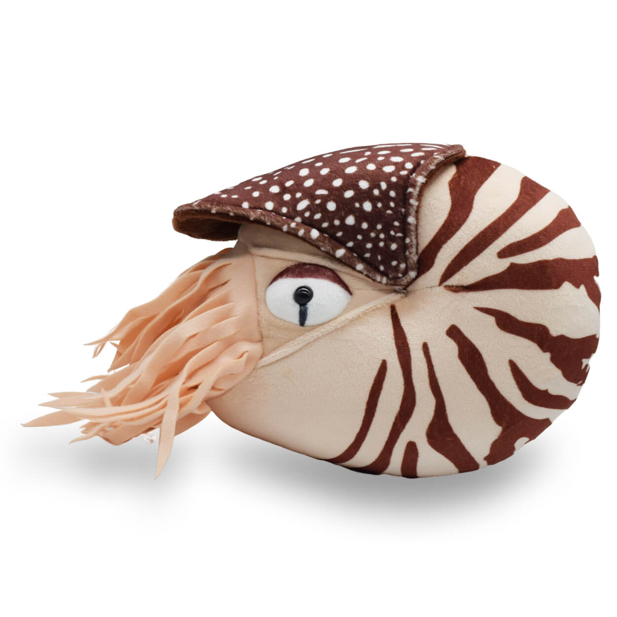 Realistic Nautilus Stuffed Animal Plush Toy