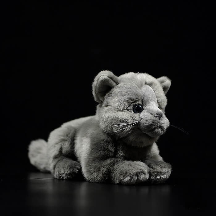 Realistic British Shorthair Cat Stuffed Animal Plush Toy