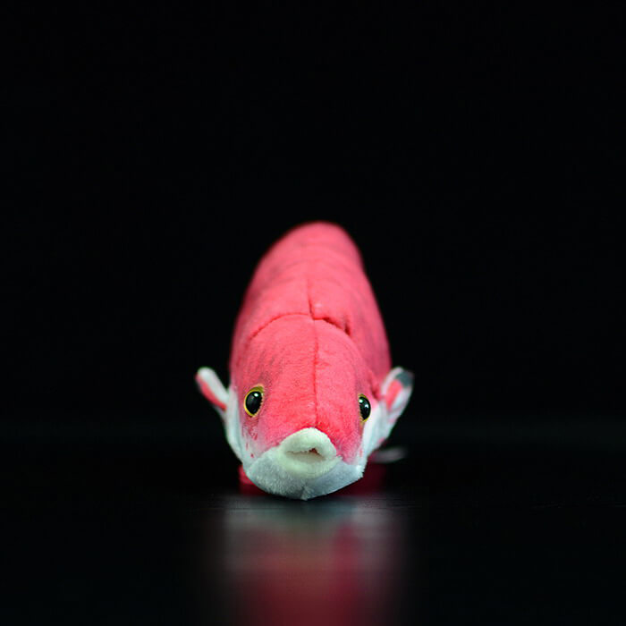Realistic Spotfin Hogfish Stuffed Animal Plush Toy