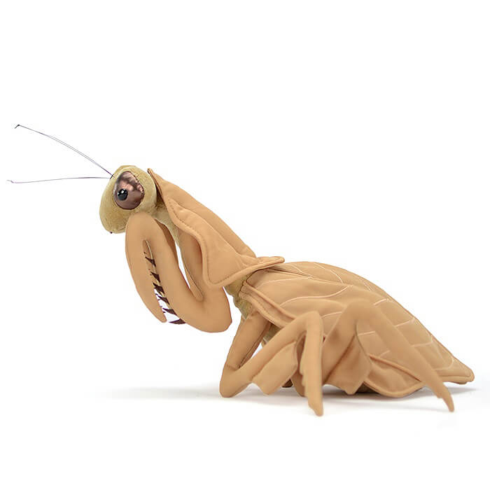 Realistic Dead Leaf Mantis Stuffed Animal Plush Toy