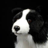 Realistic Border Collie Dog Stuffed Animal Plush Toy