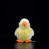 Realistic Chick Stuffed Animal Plush Toy