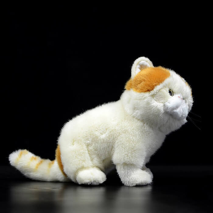 Realistic Exotic Shorthair Cat Stuffed Animal Plush Toy