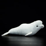 Realistic Beluga Whale Stuffed Animal Plush Toy
