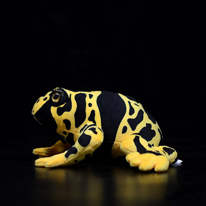 Realistic Dendrobates Leucomelas Stuffed Animal Plush Toy