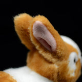 Realistic Netherland Dwarf Rabbit Stuffed Animal Plush Toy
